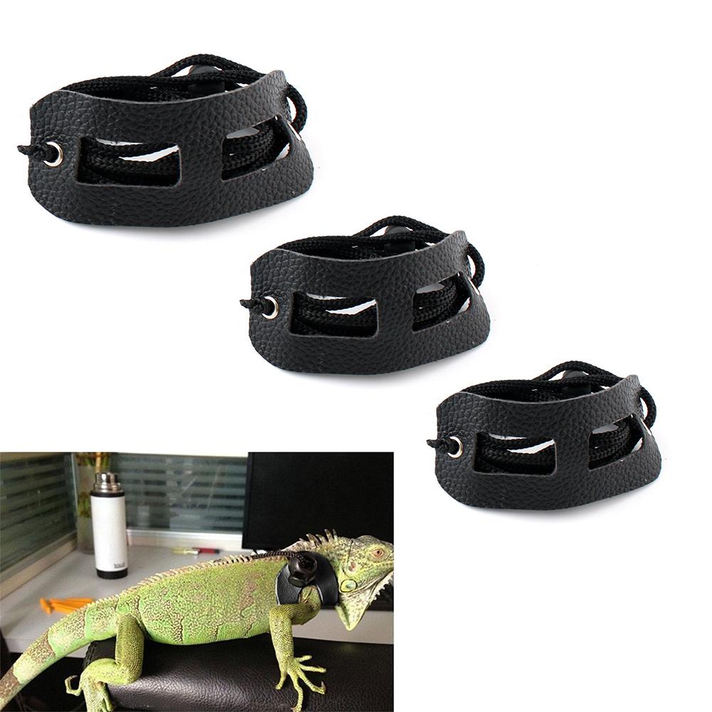 Detail Leash For Iguana Nomer 25