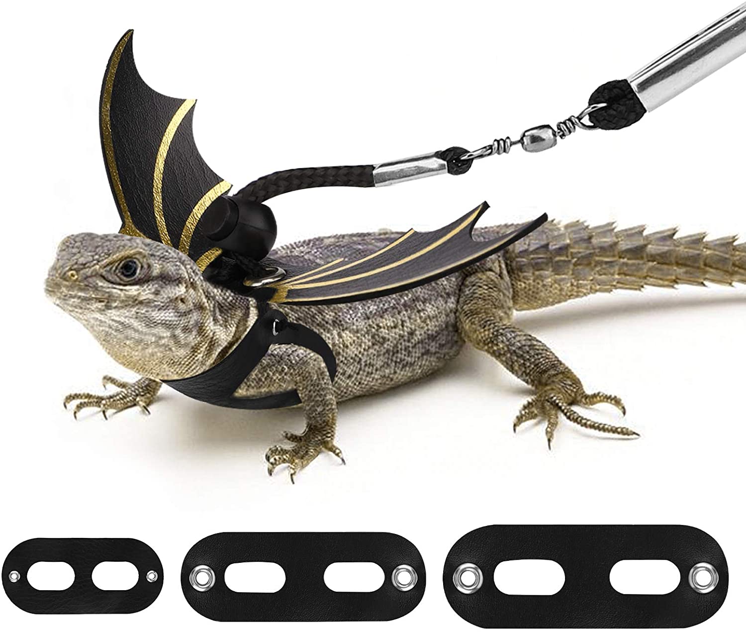 Detail Leash For Iguana Nomer 47