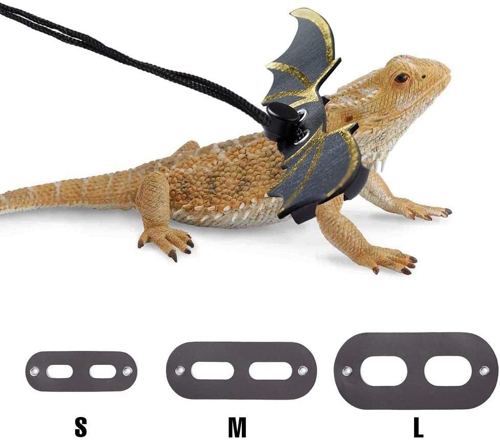 Detail Leash For Iguana Nomer 48