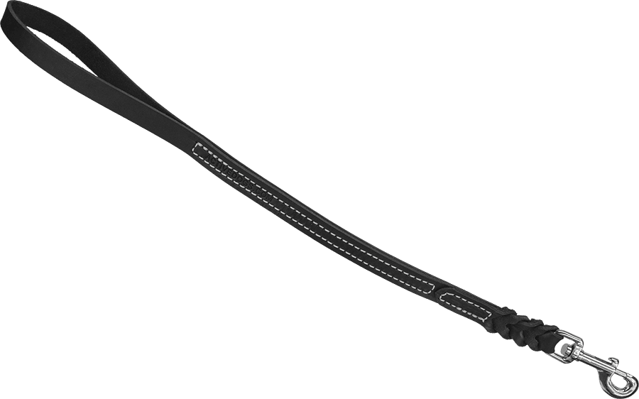 Leash Transparent - KibrisPDR
