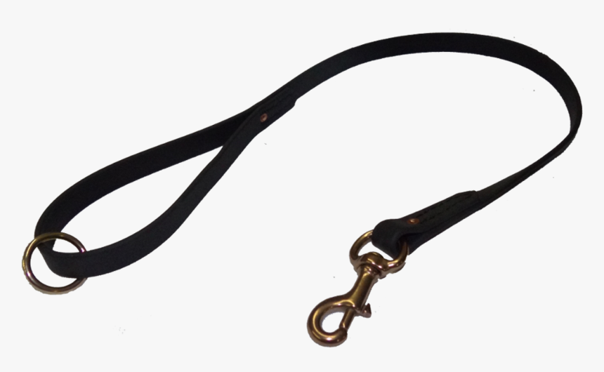Detail Leash Transparent Nomer 4