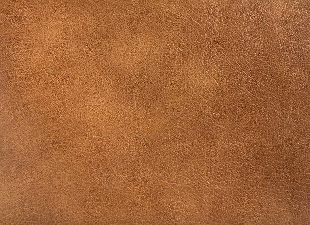 Detail Leather Images Nomer 3