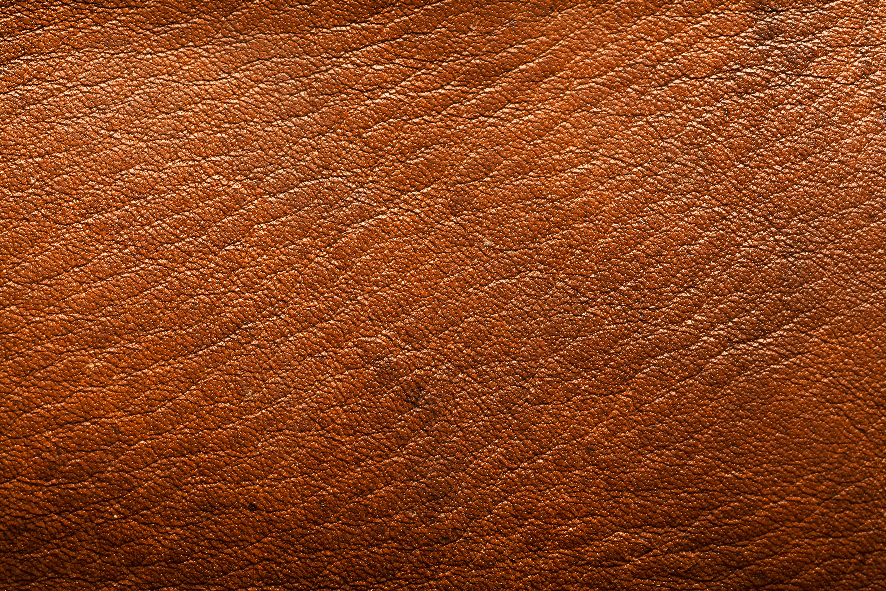 Detail Leather Wallpaper Hd Nomer 19