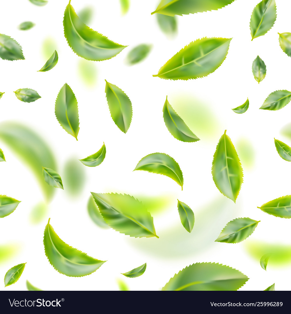 Detail Leaves Background Images Nomer 34