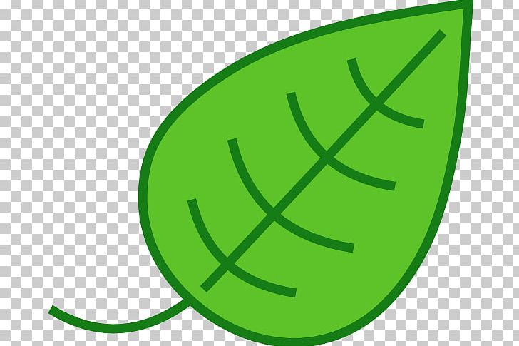 Detail Leaves Cartoon Png Nomer 14