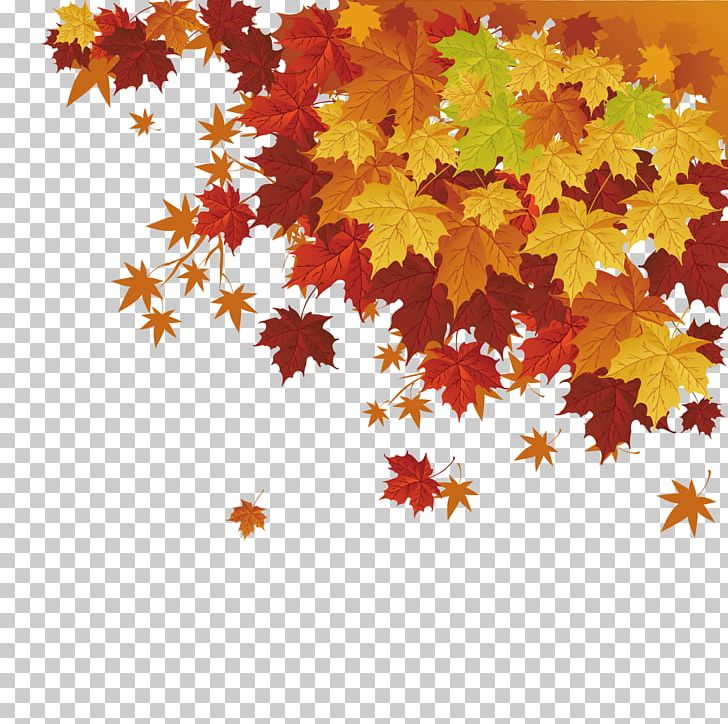 Detail Leaves Cartoon Png Nomer 26