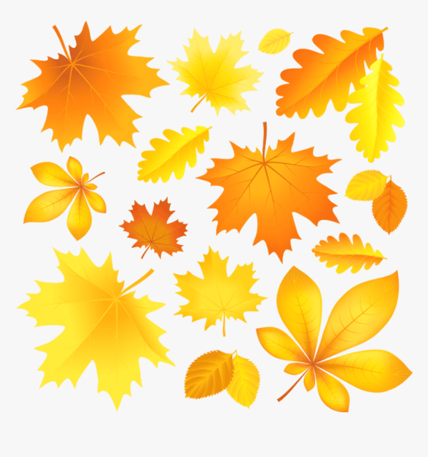 Detail Leaves Cartoon Png Nomer 31