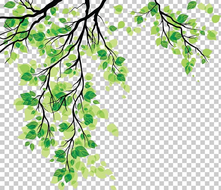 Detail Leaves Cartoon Png Nomer 38