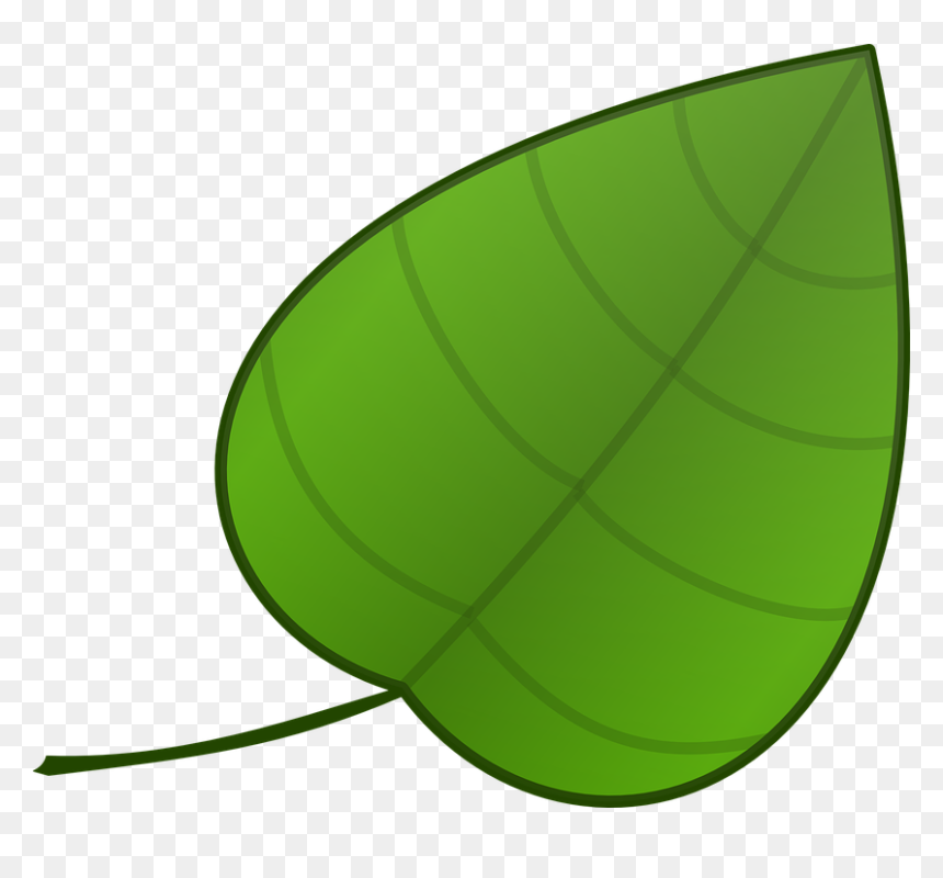 Detail Leaves Cartoon Png Nomer 40