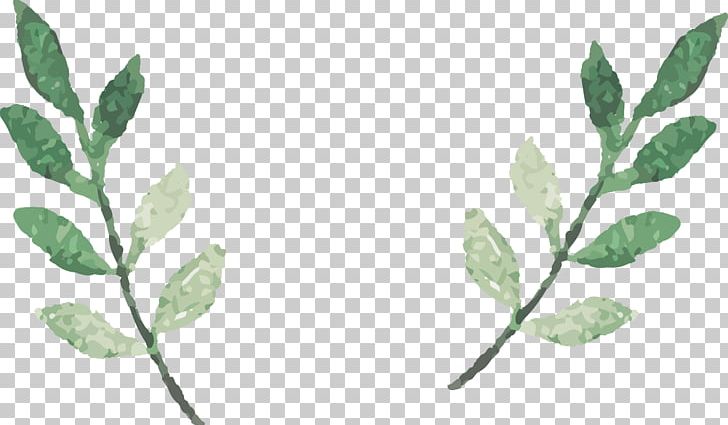 Detail Leaves Cartoon Png Nomer 49