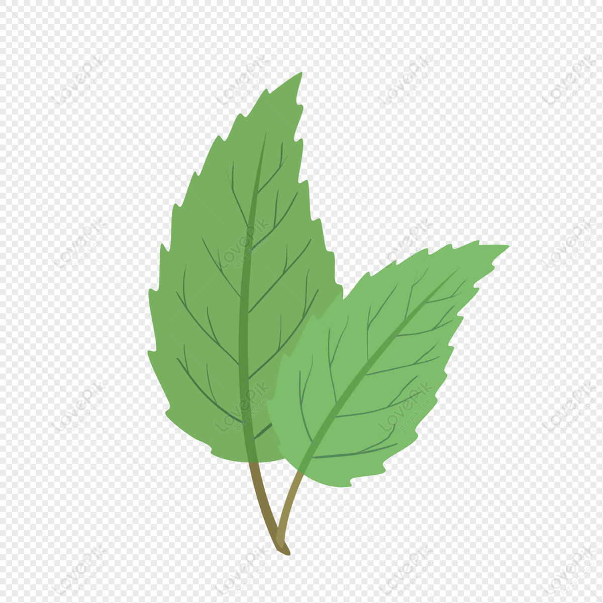 Detail Leaves Cartoon Png Nomer 53