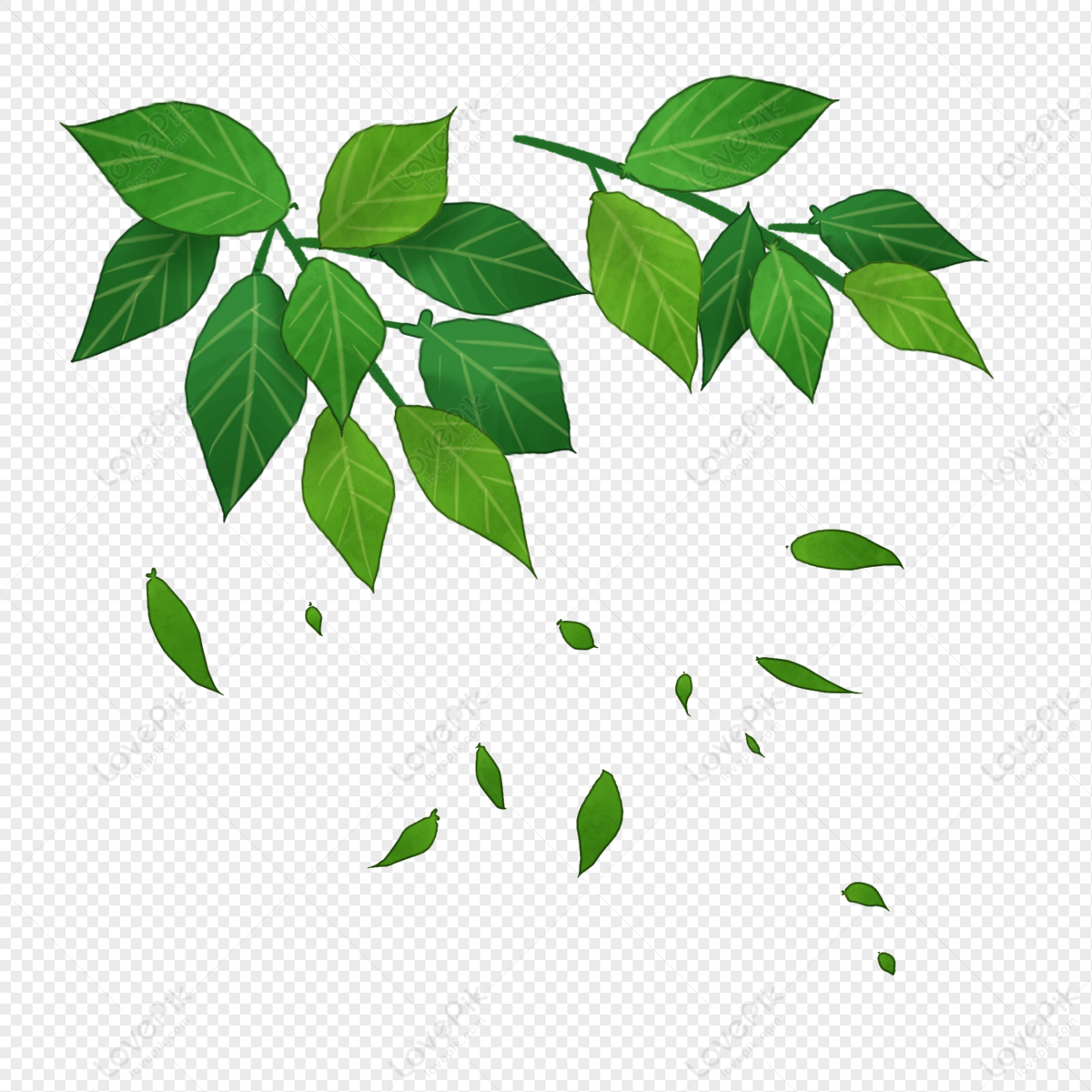 Detail Leaves Cartoon Png Nomer 8