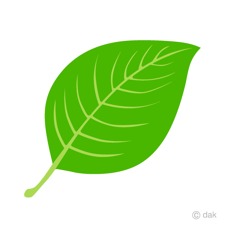 Detail Leaves Clipart Png Nomer 47