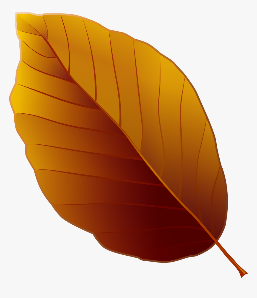 Detail Leaves Clipart Transparent Nomer 47