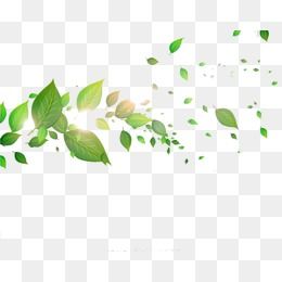 Detail Leaves Design Png Nomer 27