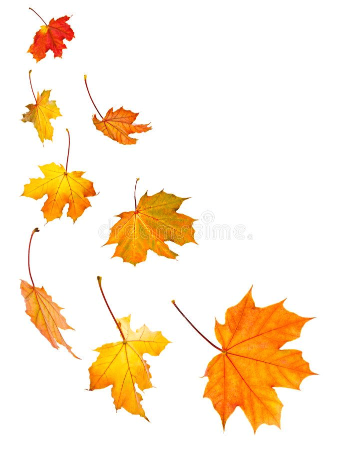 Detail Leaves Fall Png Nomer 18