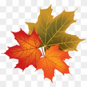 Detail Leaves Fall Png Nomer 49