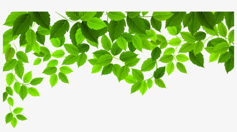 Detail Leaves Png Images Nomer 11