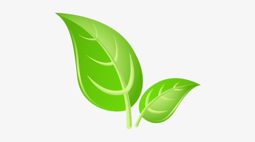 Detail Leaves Png Images Nomer 16