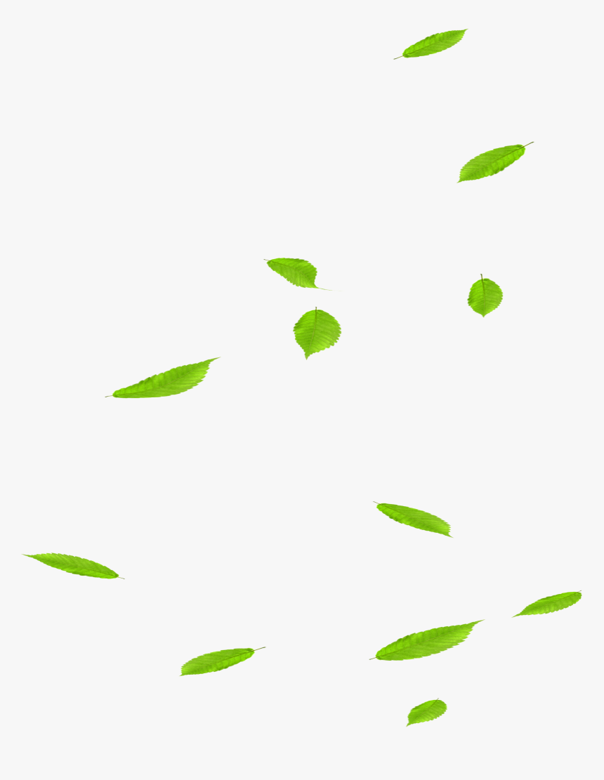 Detail Leaves Png Images Nomer 49