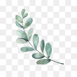 Detail Leaves Png Images Nomer 53