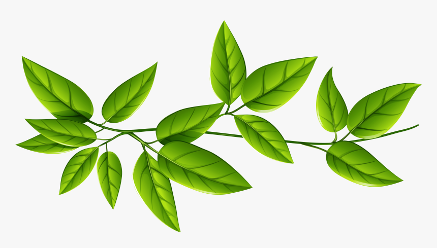 Detail Leaves Transparent Png Nomer 2