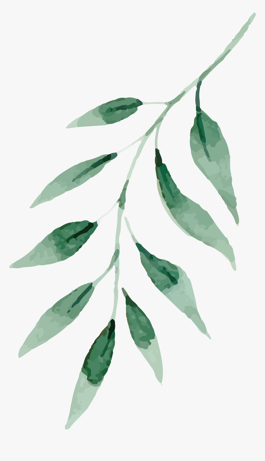 Detail Leaves Transparent Png Nomer 10