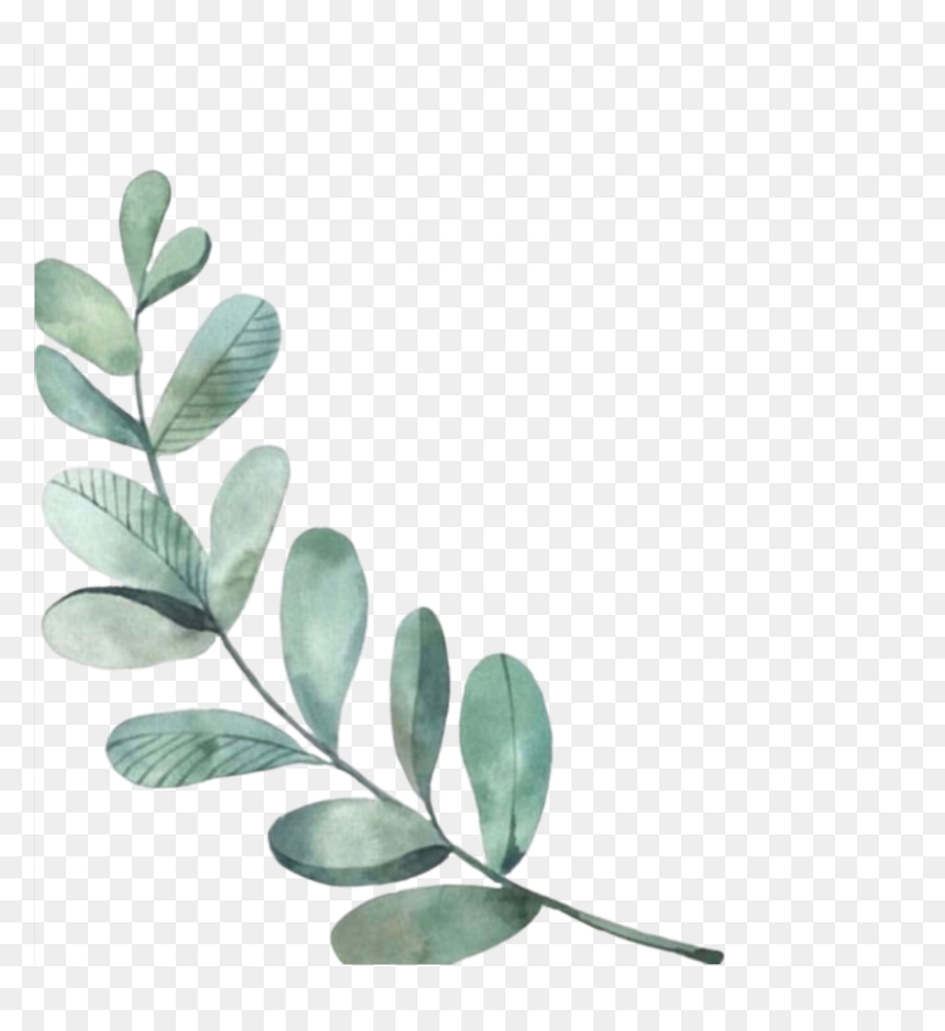 Detail Leaves Transparent Png Nomer 11