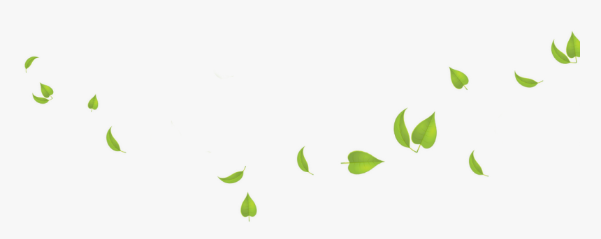 Detail Leaves Transparent Png Nomer 15