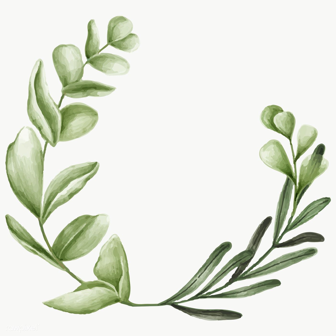 Detail Leaves Transparent Png Nomer 16