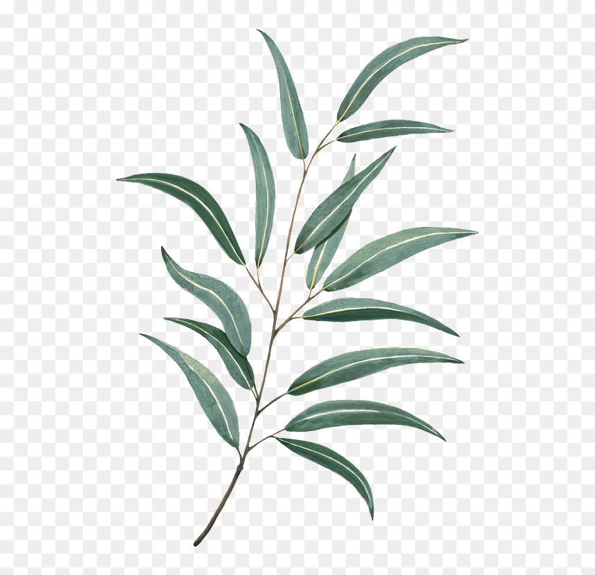 Detail Leaves Transparent Png Nomer 28