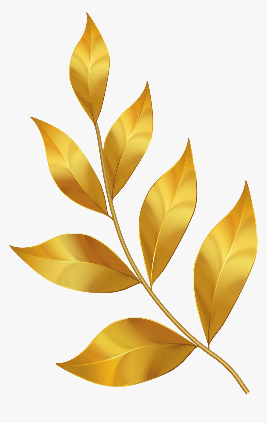 Detail Leaves Transparent Png Nomer 29