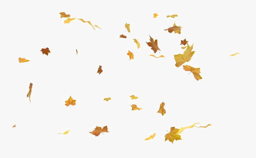 Detail Leaves Transparent Png Nomer 34