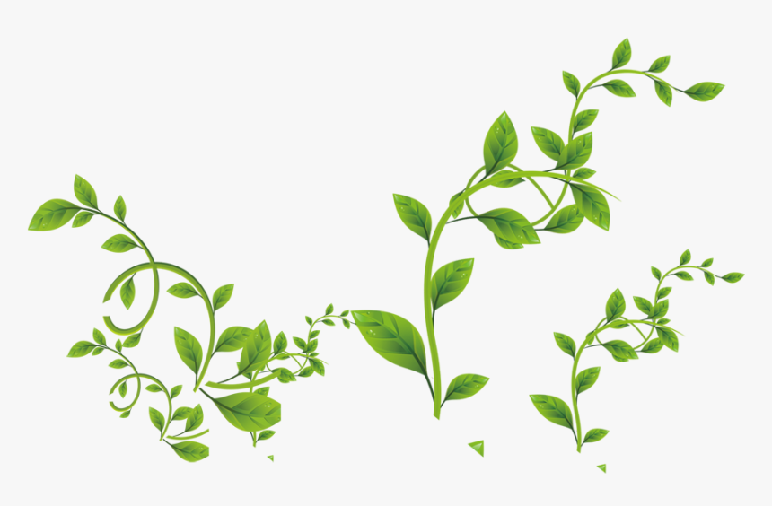 Detail Leaves Transparent Png Nomer 54