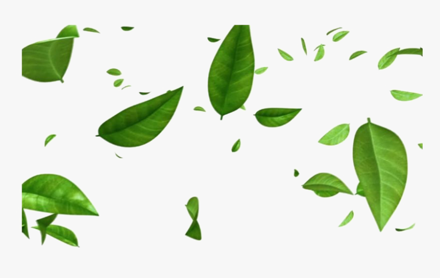 Detail Leaves Transparent Png Nomer 6