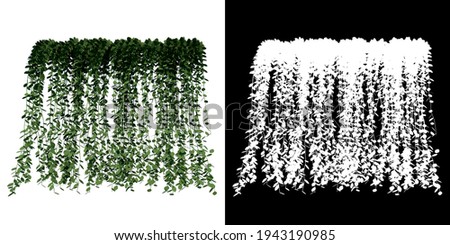 Detail Lee Kuan Yew Plant Png Nomer 4