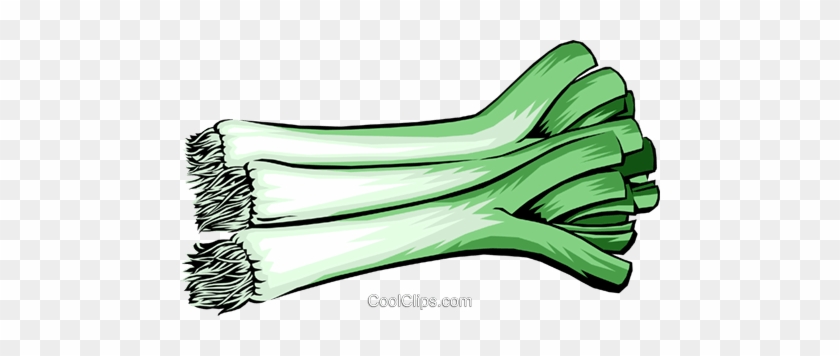 Detail Leek Clipart Nomer 44