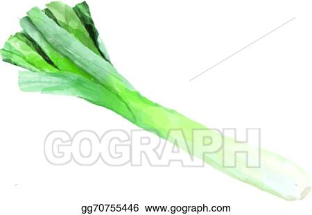 Detail Leek Clipart Nomer 54