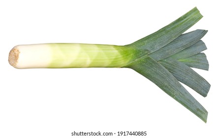 Detail Leek Images Nomer 38