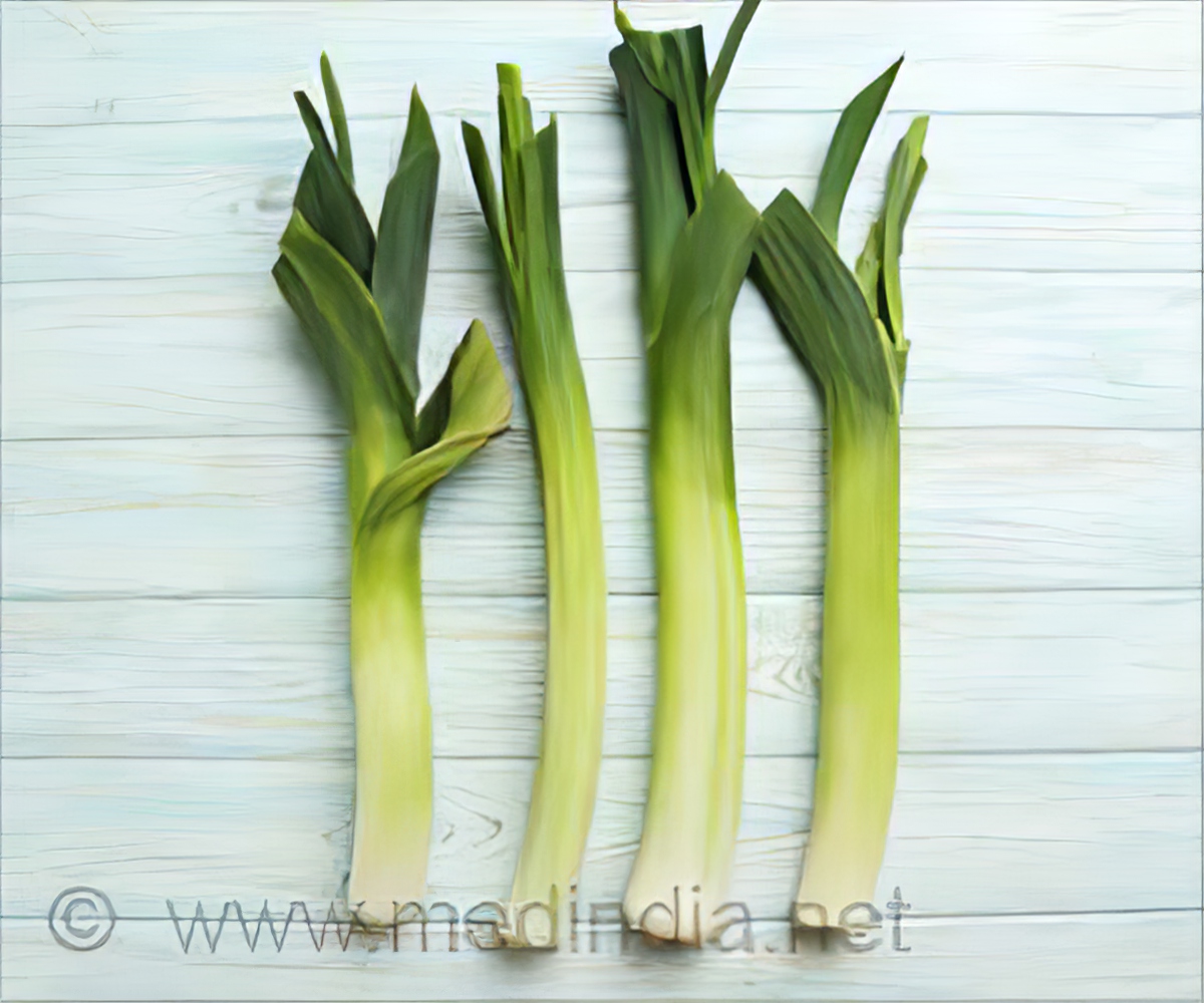 Detail Leek Images Nomer 47
