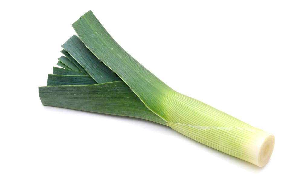 Detail Leek Picture Nomer 25