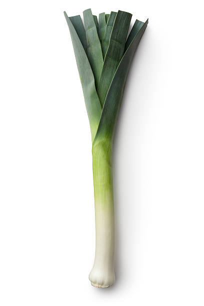 Detail Leek Picture Nomer 34