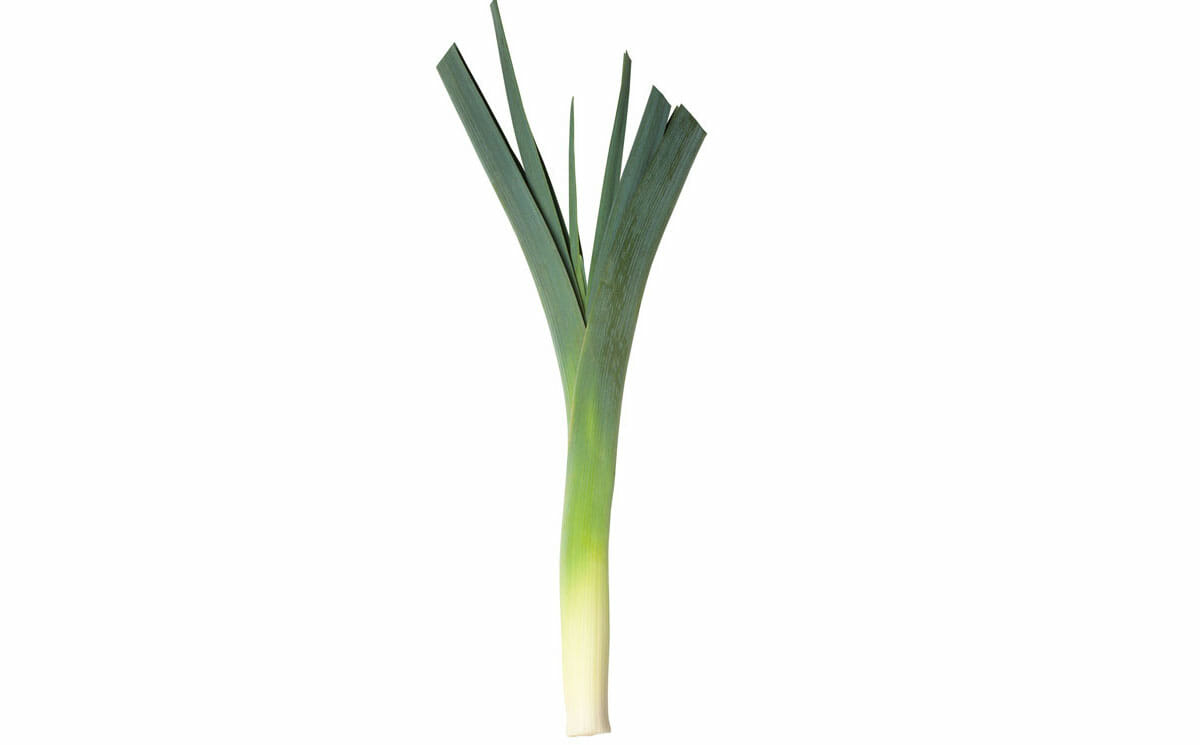 Detail Leek Picture Nomer 9