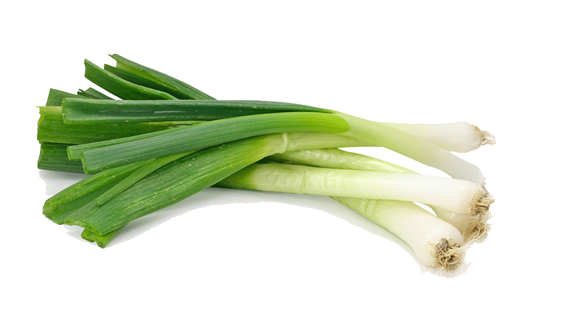 Leek Png - KibrisPDR