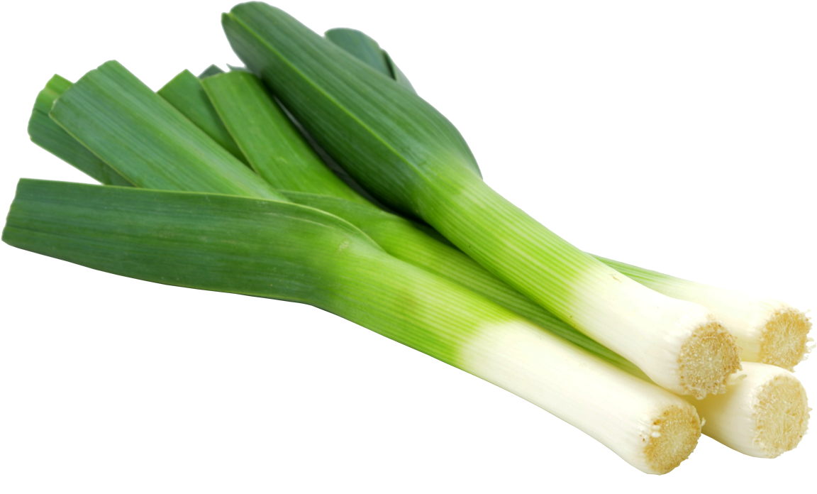 Detail Leek Png Nomer 11