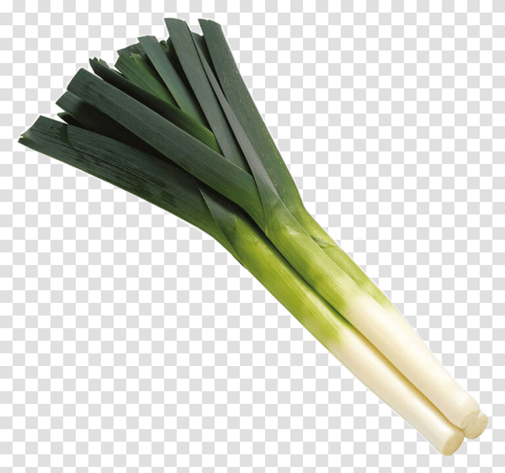 Detail Leek Png Nomer 22