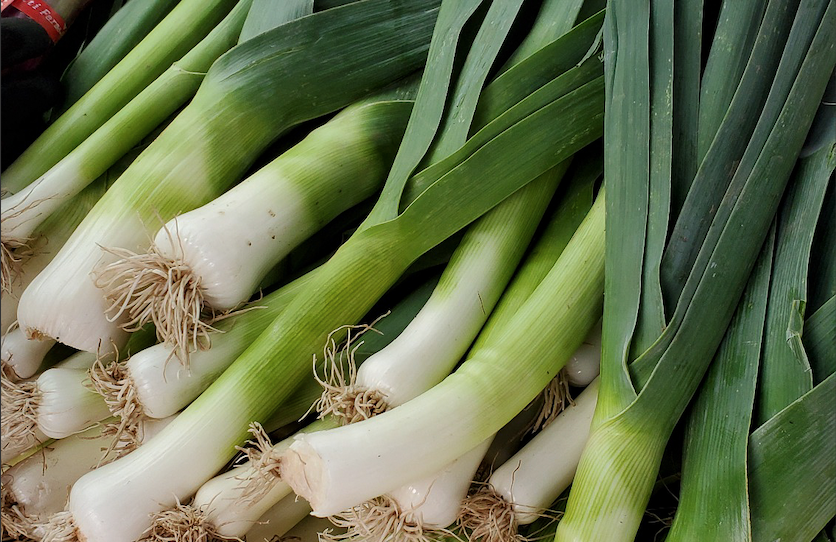 Detail Leek Png Nomer 33