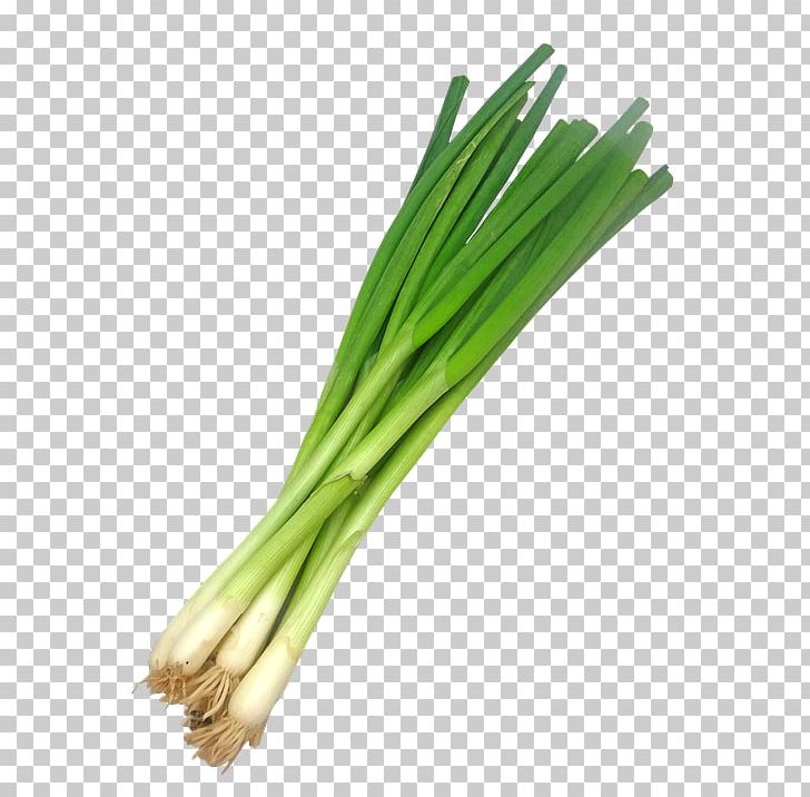 Detail Leek Png Nomer 9