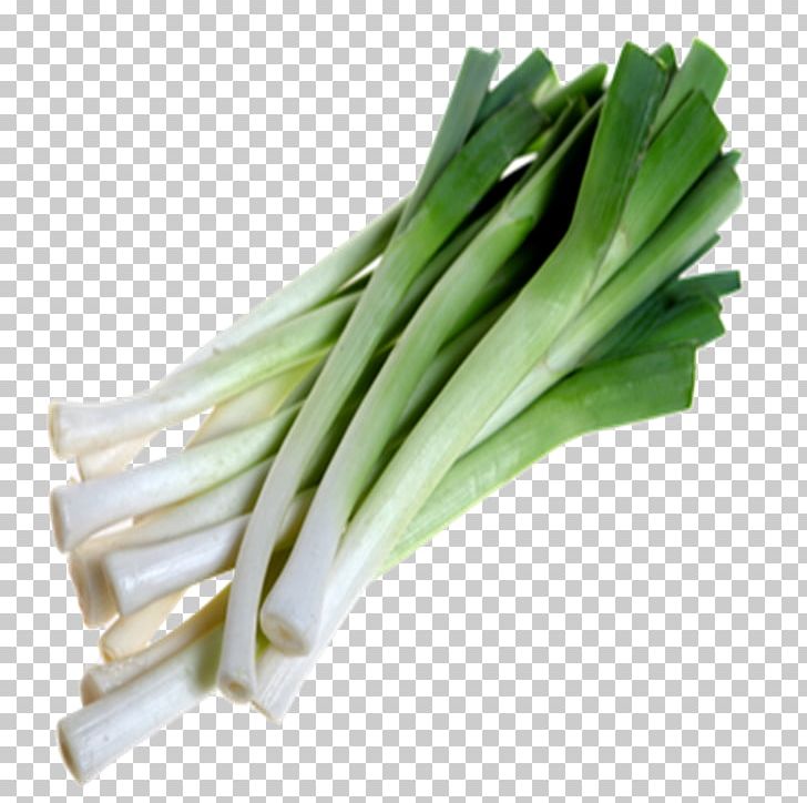 Detail Leek Png Nomer 10