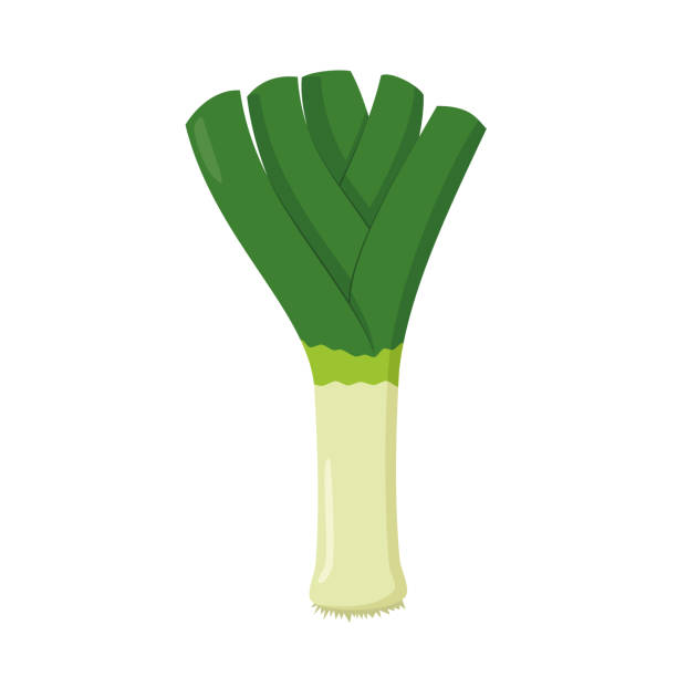 Detail Leeks Clipart Nomer 2